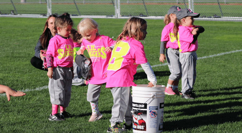 Bradford Regional Little League photo