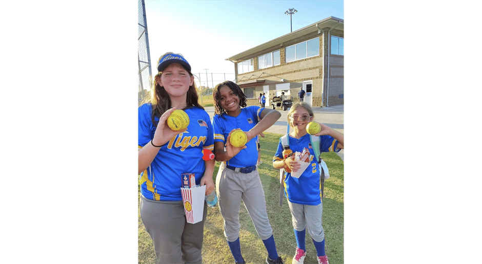 Washington Wilkes Little League photo