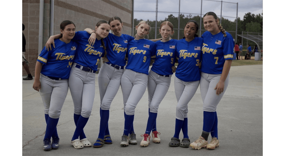 Washington Wilkes Little League photo