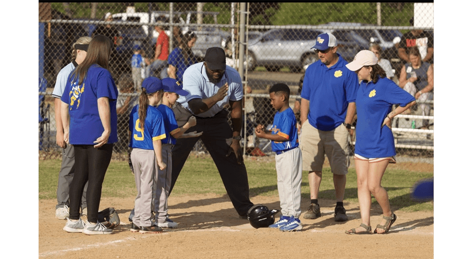 Washington Wilkes Little League photo