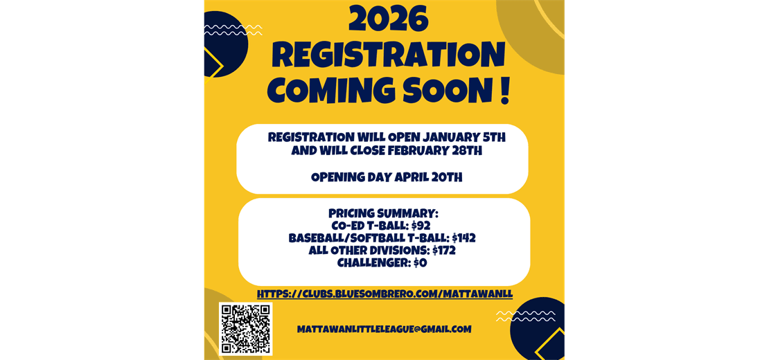 Mattawan Little League photo