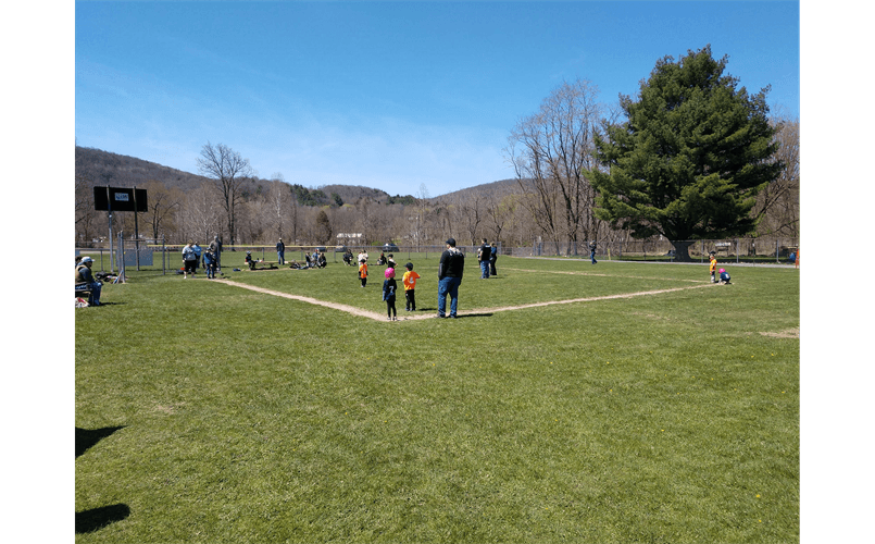 Northern Tier Little League photo