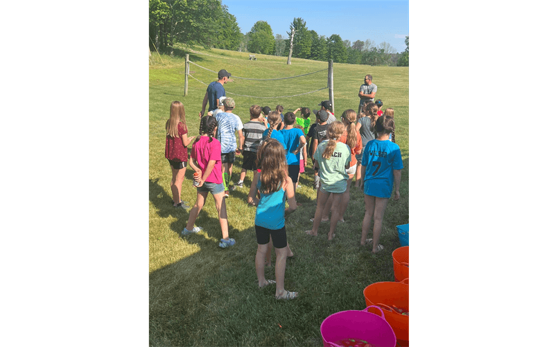 Northern Tier Little League photo
