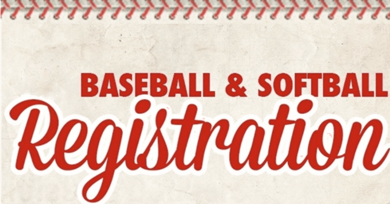 Demotte Little League photo