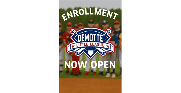 Demotte Little League photo