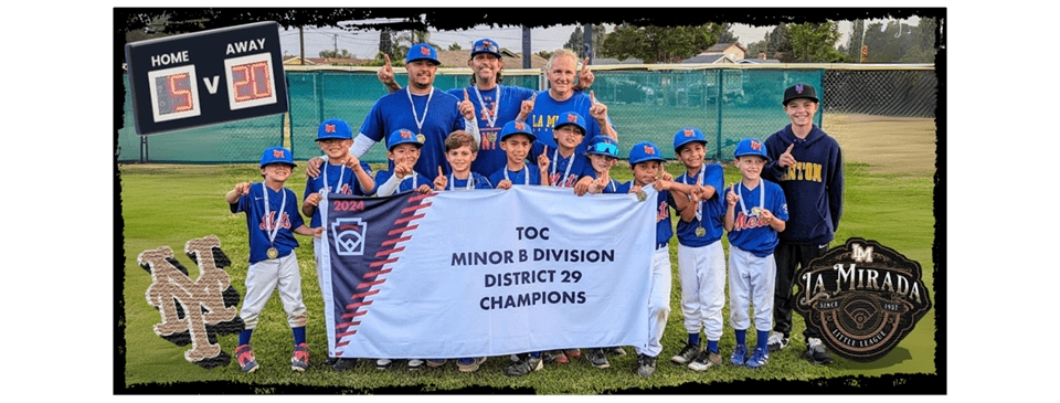 MINOR B METS - DISTRICT 29 CHAMPS!