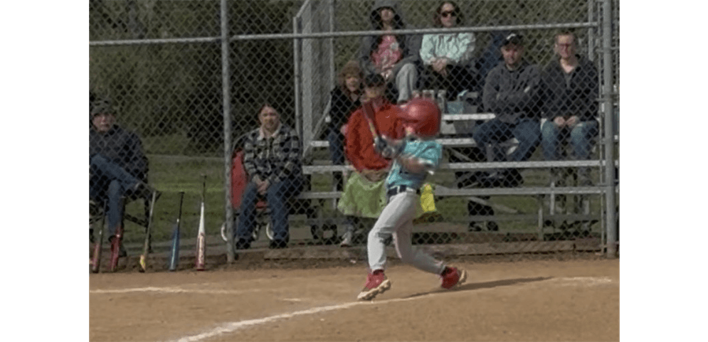 Mountain View Little League photo