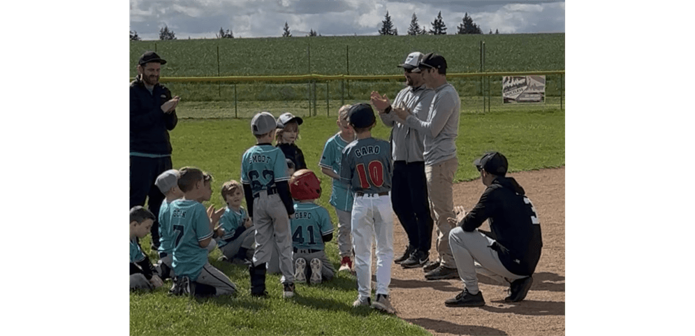 Mountain View Little League photo