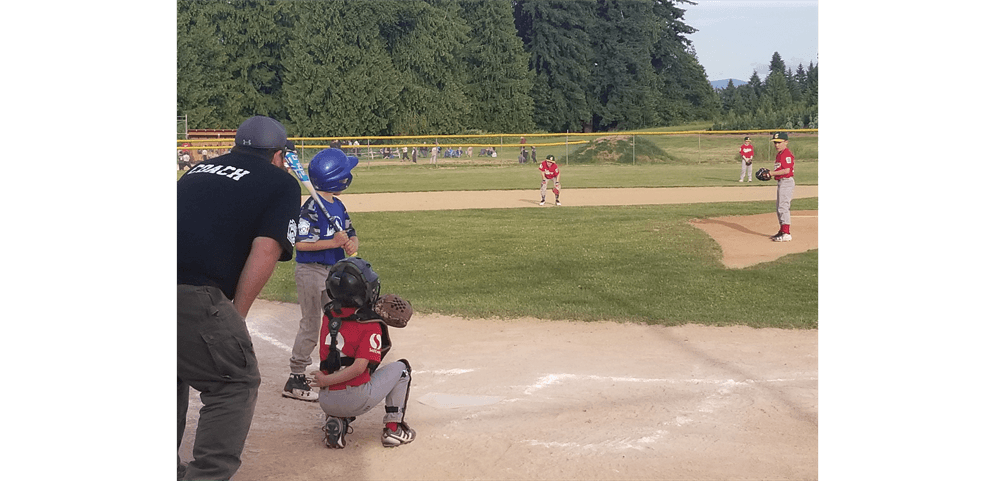 Mountain View Little League photo