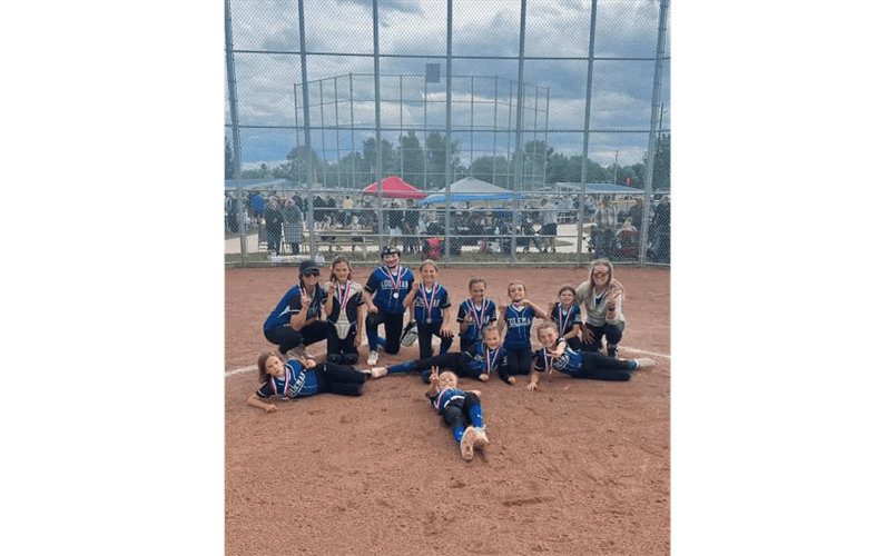 Coleman Youth Little League photo