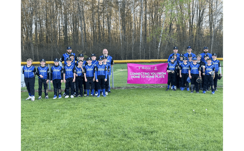 Coleman Youth Little League photo