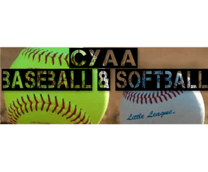 Coleman Youth Little League hero