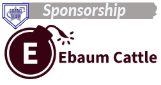 Sponsor logo