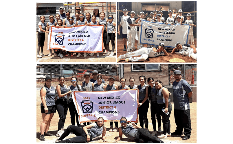 2025 District 4 Champions