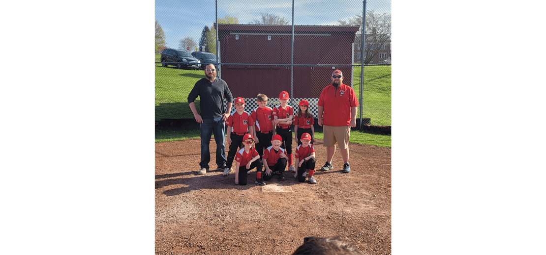 Marion Little League photo