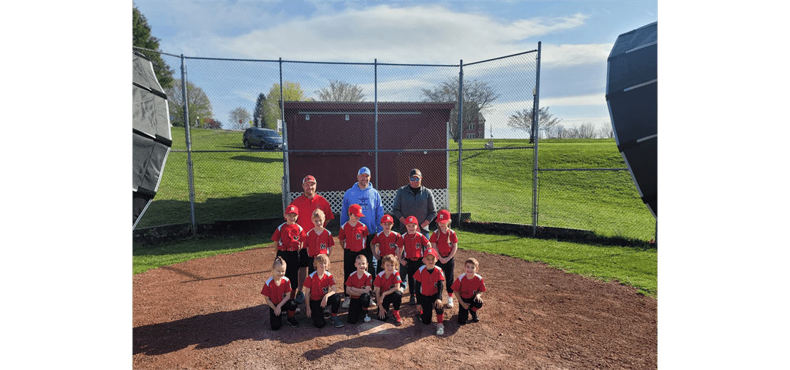Marion Little League photo