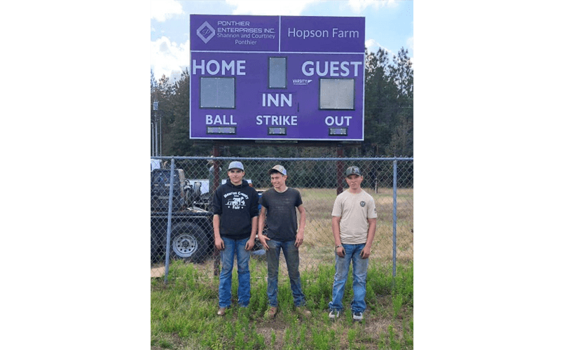 Newton County Little League photo