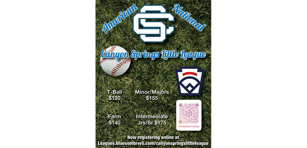 Canyon Springs Little League photo