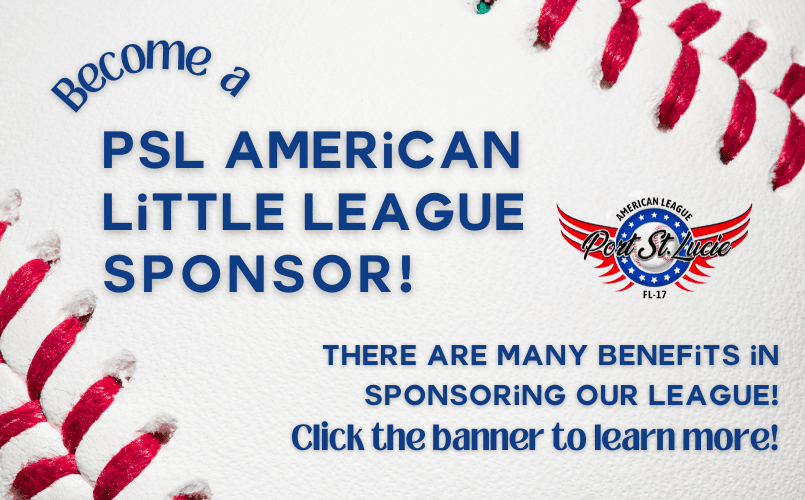 Become a sponsor and support youth baseball!