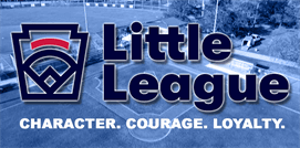 Port Saint Lucie American Little League hero