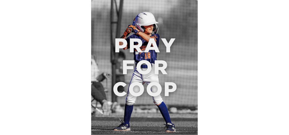 Rose Capital East Little League photo