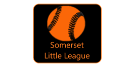 Somerset Area Little League hero