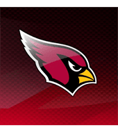 Johannesburg-Lewiston Area Little League logo