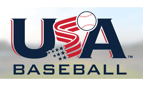 Little League Bat Rules Have Changed