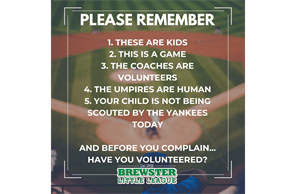 Brewster Little League hero