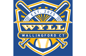 Yalesville Wallingford Little League hero