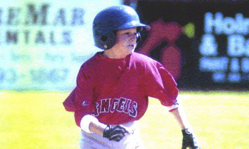 The Willem van Gemeren Scholarship