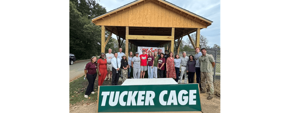 Introducing the New Tucker Cage