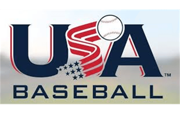 2019 USA Baseabll approved bats