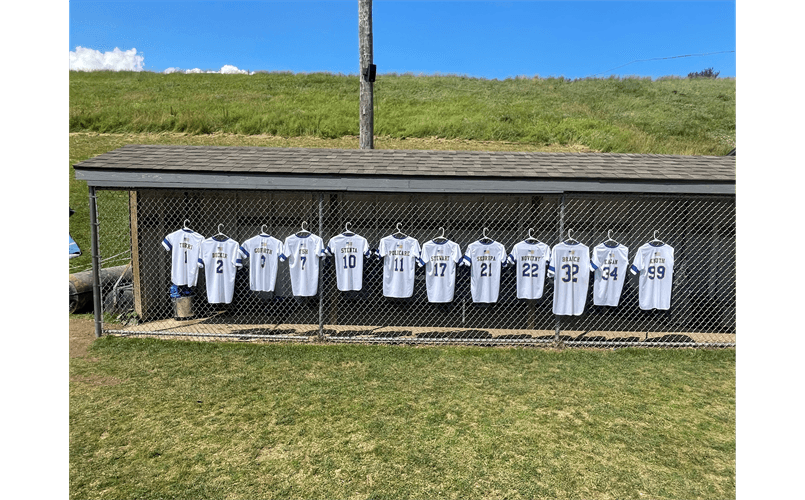 Maine-Endwell Little League photo