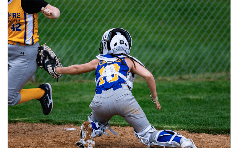 Maine-Endwell Little League photo