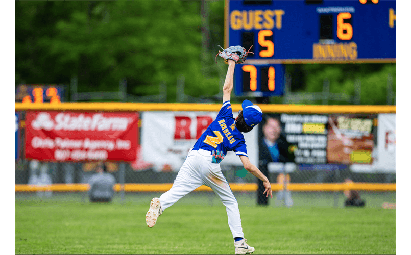Maine-Endwell Little League photo