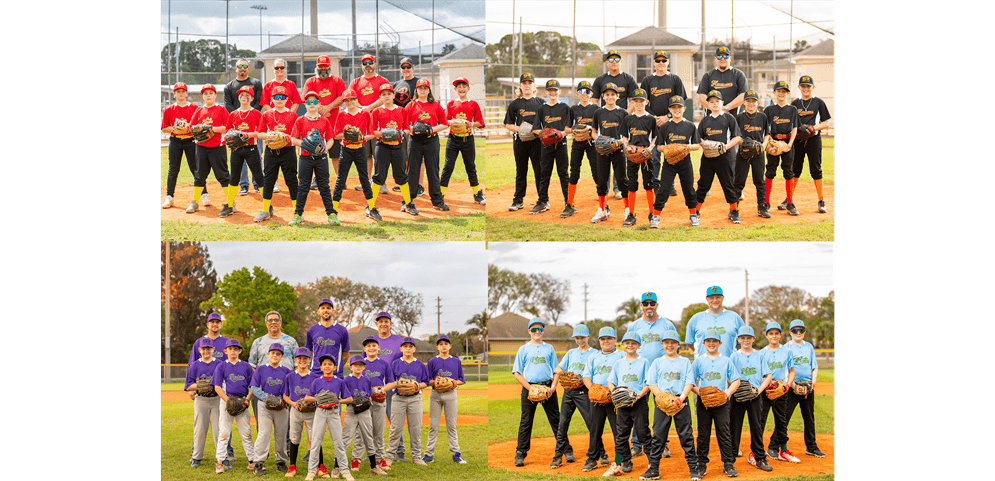 Spring 2025 Majors Baseball