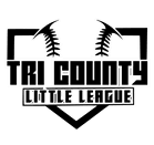 Three Fires Little League logo
