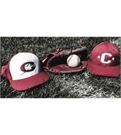 Corbin Little League logo