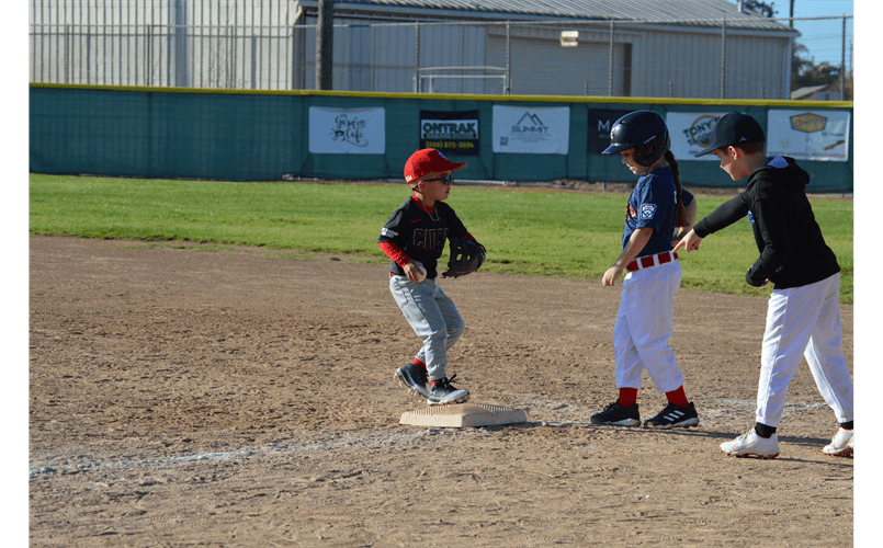 Salida Little League photo