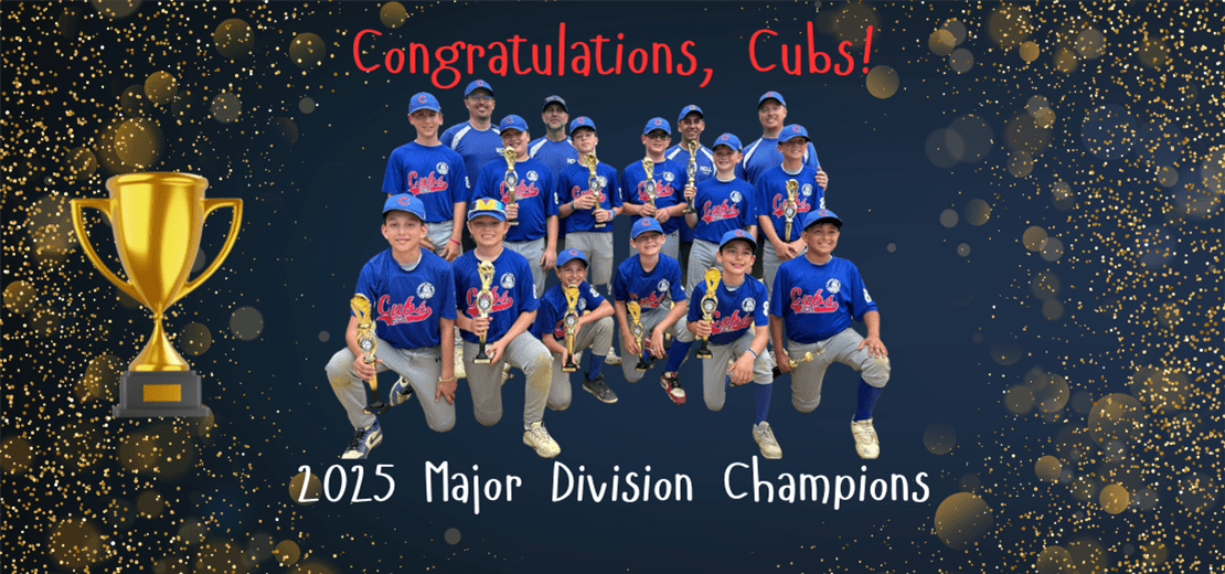 Howell Central Little League photo