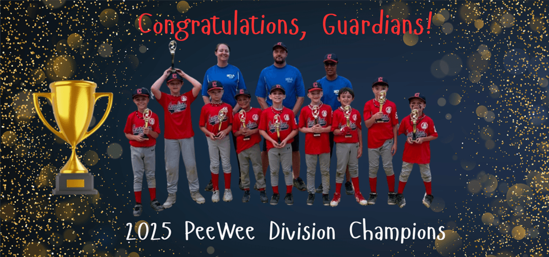 Howell Central Little League photo