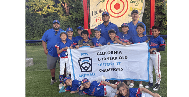 SMNLL Baseball 10s Win District 17 Banner!
