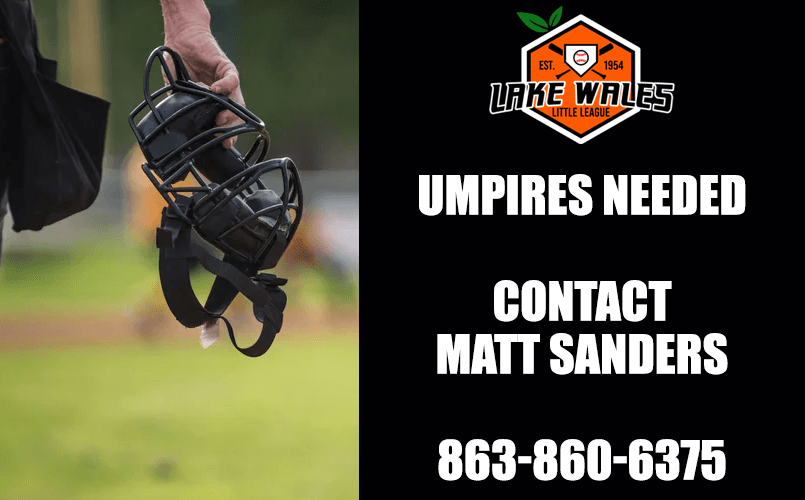 Lake Wales Little League photo