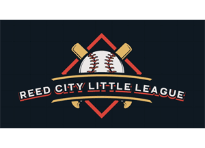 Reed City Little League hero