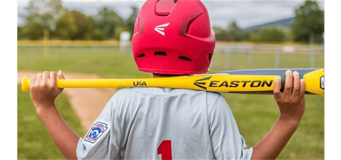 Little League Bat Rules
