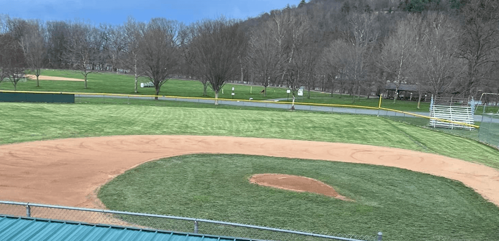 Sayre Little League photo