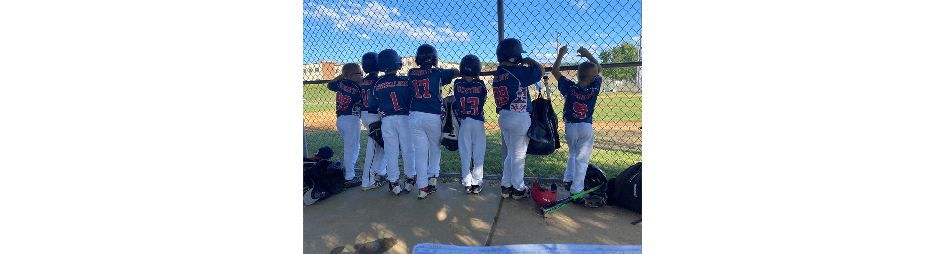 Sayre Little League photo