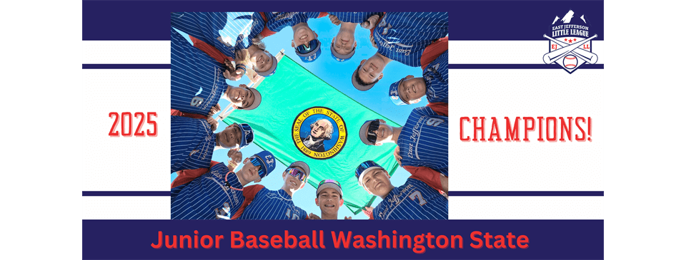 Junior Baseball Washington State Champions!