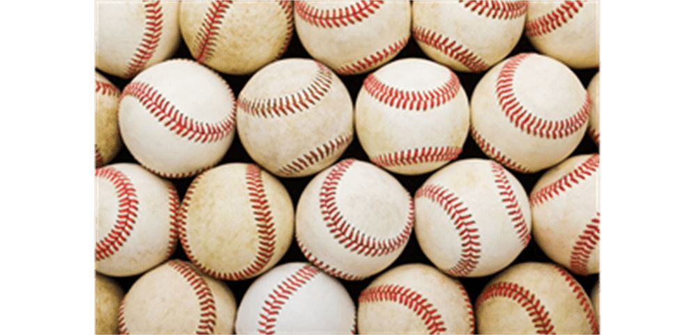 Volunteer Program Details